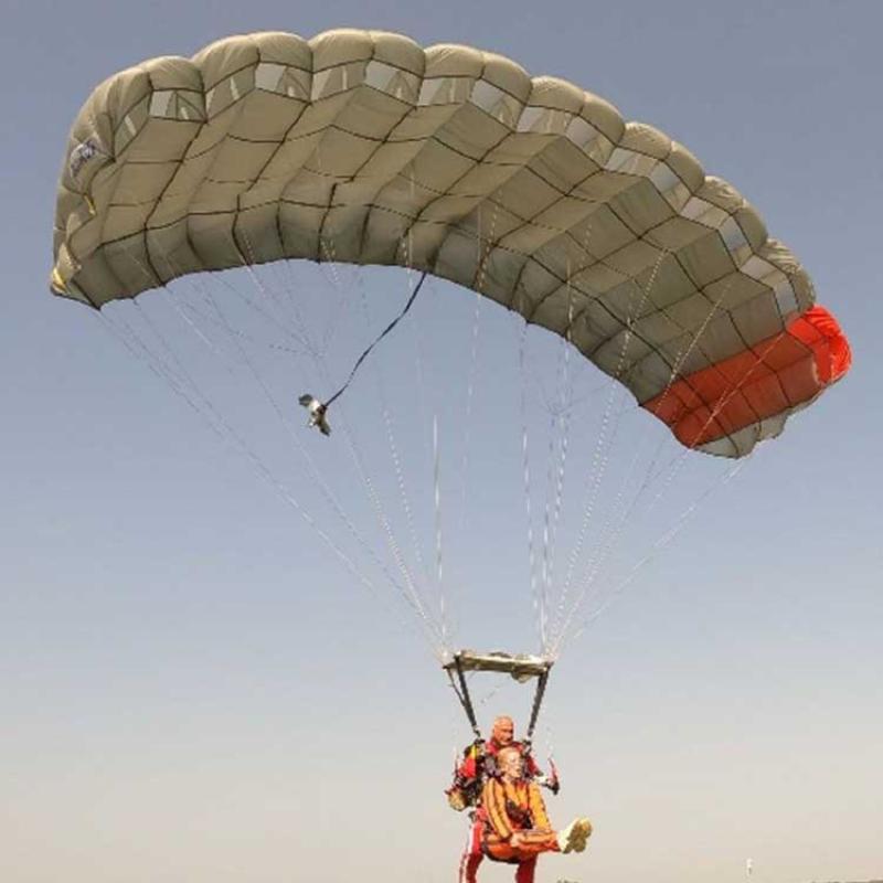 SWS Tandem Main Canopy